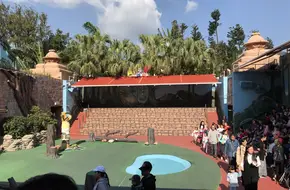 Bird Theater