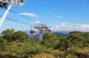 Maokong Sightseeing Tea Garden