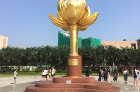 Golden Lotus Square