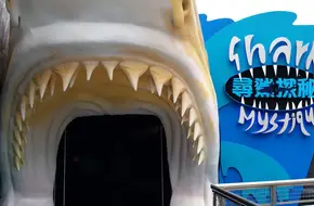 Shark Exploration Secrets