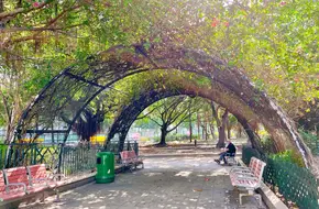 Tong Mi Road/Tung Chow Street Sitting-Out Area