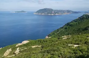 Slanted Cannon Top