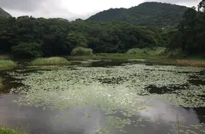 Lengshuikeng