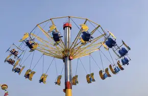 Whirly Bird