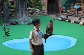 Bird Theater