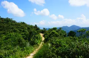Hong Kong Trail