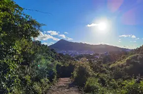 Coloane Walking Trail