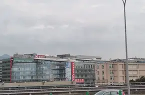 Taipei Lion Tourism