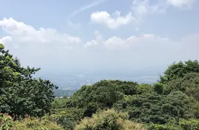 Zhuzihu Calla Lily Garden