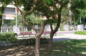 Yongchun Gang Park