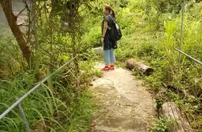 Herb Garden