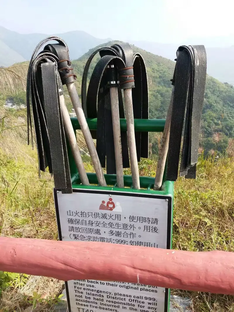 Tiger Mountain
