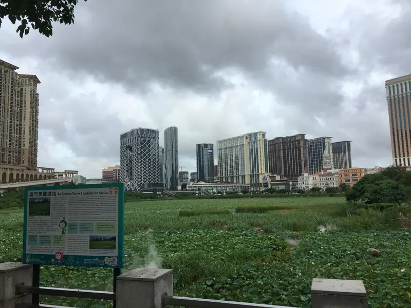 Wangde Shengmu Bay Wetland Ecological Observation Area