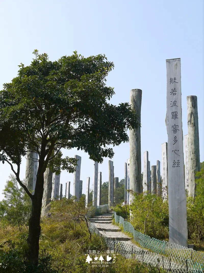 Heart Sutra Stone Forest