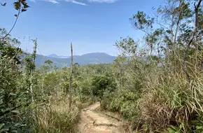 Pui O