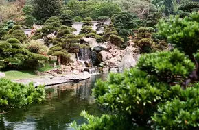 South Lotus Garden Pool