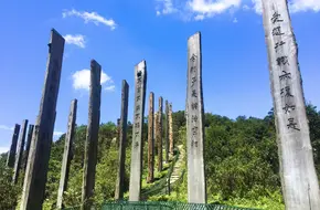 Heart Sutra Stone Forest