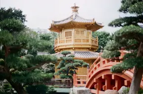 South Lotus Garden Pool