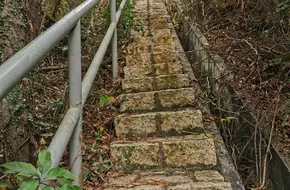 Tai O Elephant Mountain