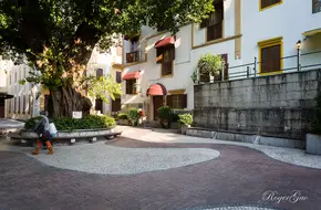 Apo Well Square