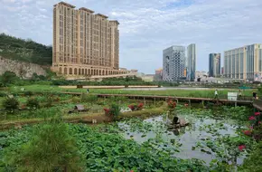 Wangde Shengmu Bay Wetland Ecological Observation Area