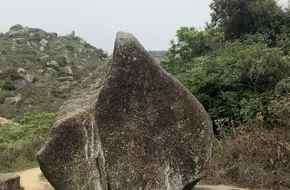 Tiger Head