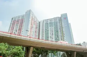 Ping Shek Estate