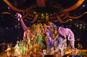 Festival Of The Lion King