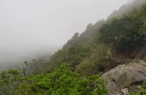 Nanshan Country Park