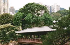 South Lotus Garden Pool