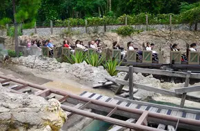 Grizzly Gulch Mine Train