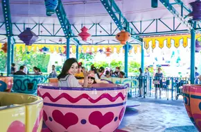 Mad Hatter'S Tea Cups