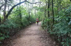 Lantau Trail
