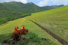 Shek Pik Country Trail