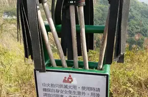 Tiger Mountain