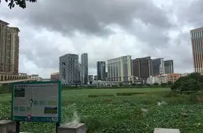 Wangde Shengmu Bay Wetland Ecological Observation Area