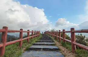 Tiger Mountain