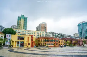 Tashi Square