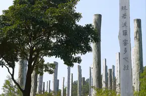 Heart Sutra Stone Forest