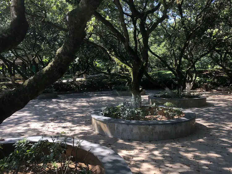 Lychee Cultural Park