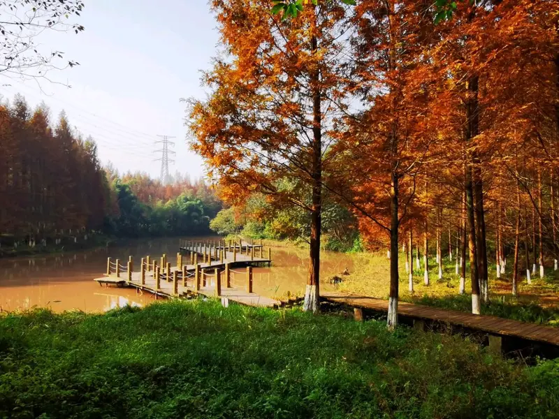 Jiuqu River Wetland Park
