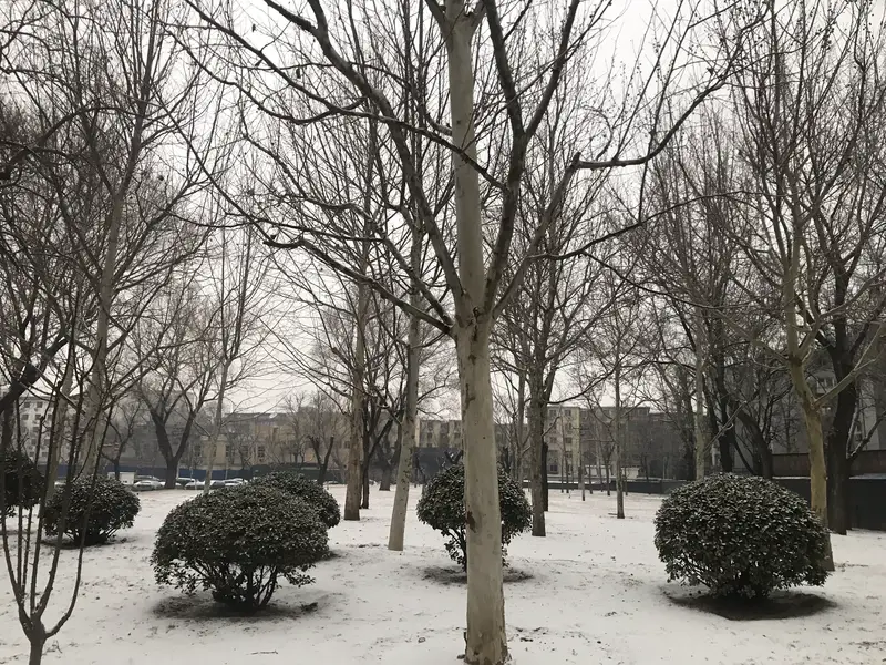 Changying Sports Park