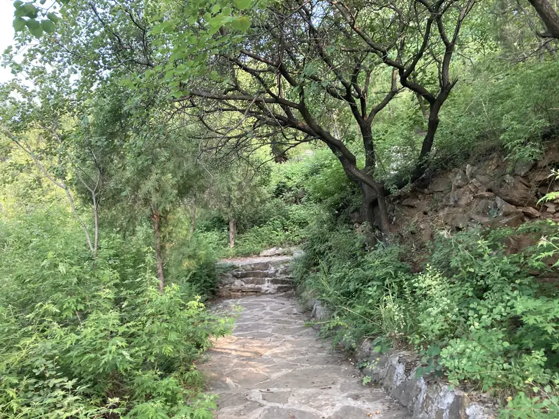 Phoenix Mountain Park