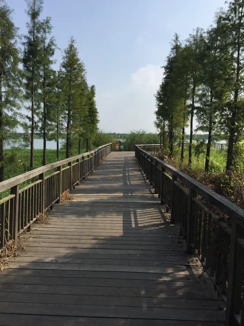 Hezhizhou Wetland Park