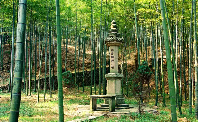 Dongming Mountain Forest Park