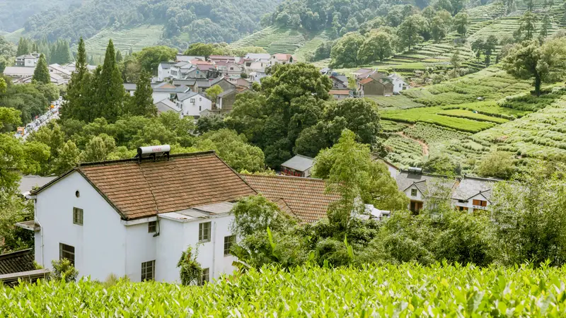 Shili Langdang