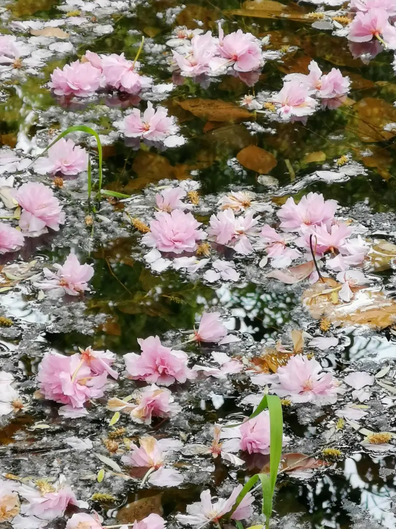 Essence Garden