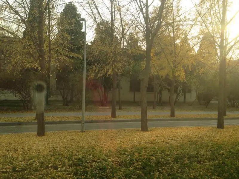 Houhu Lake