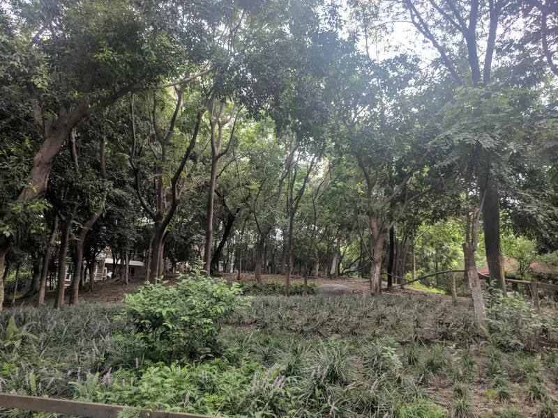 Shiren Park