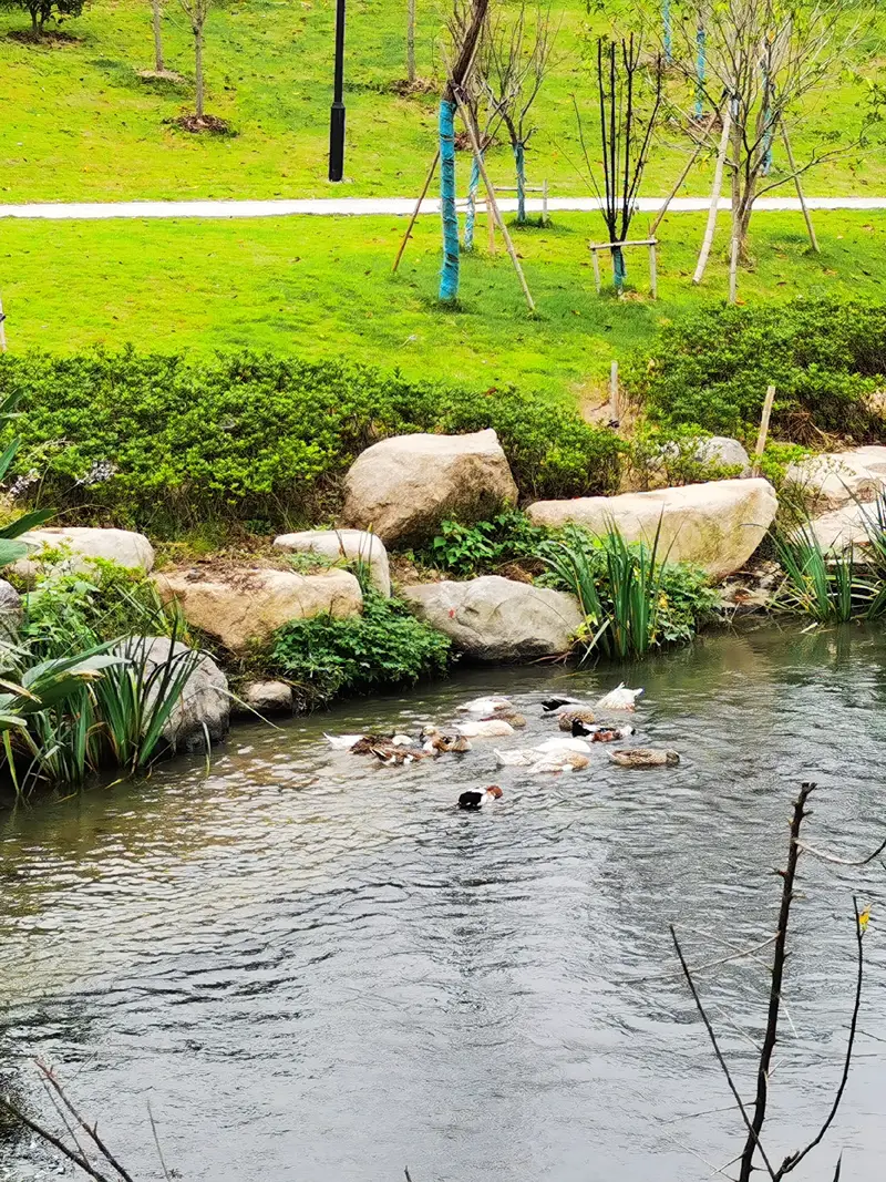 JingShan Town Citizens' Park